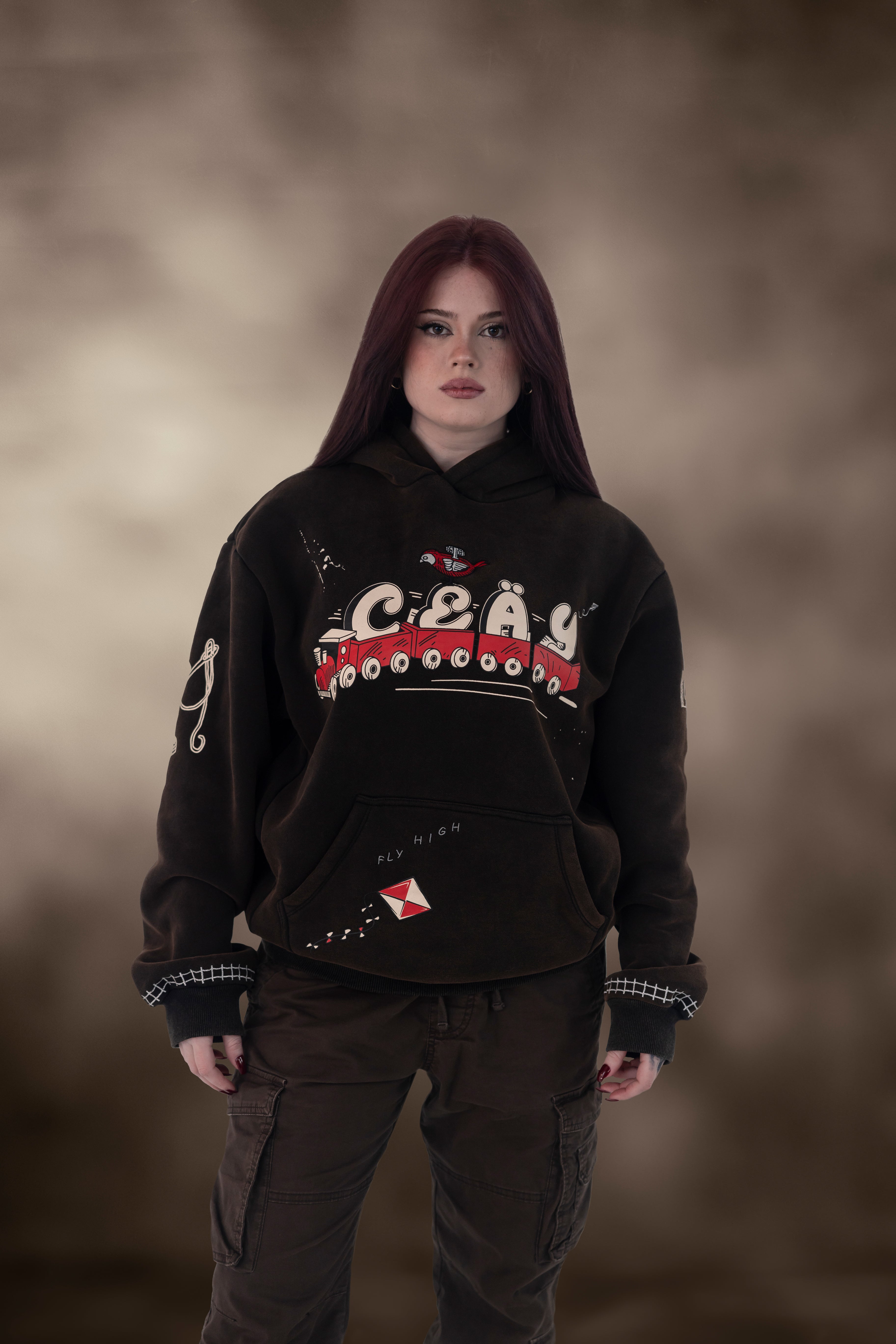 Toys Hoodie