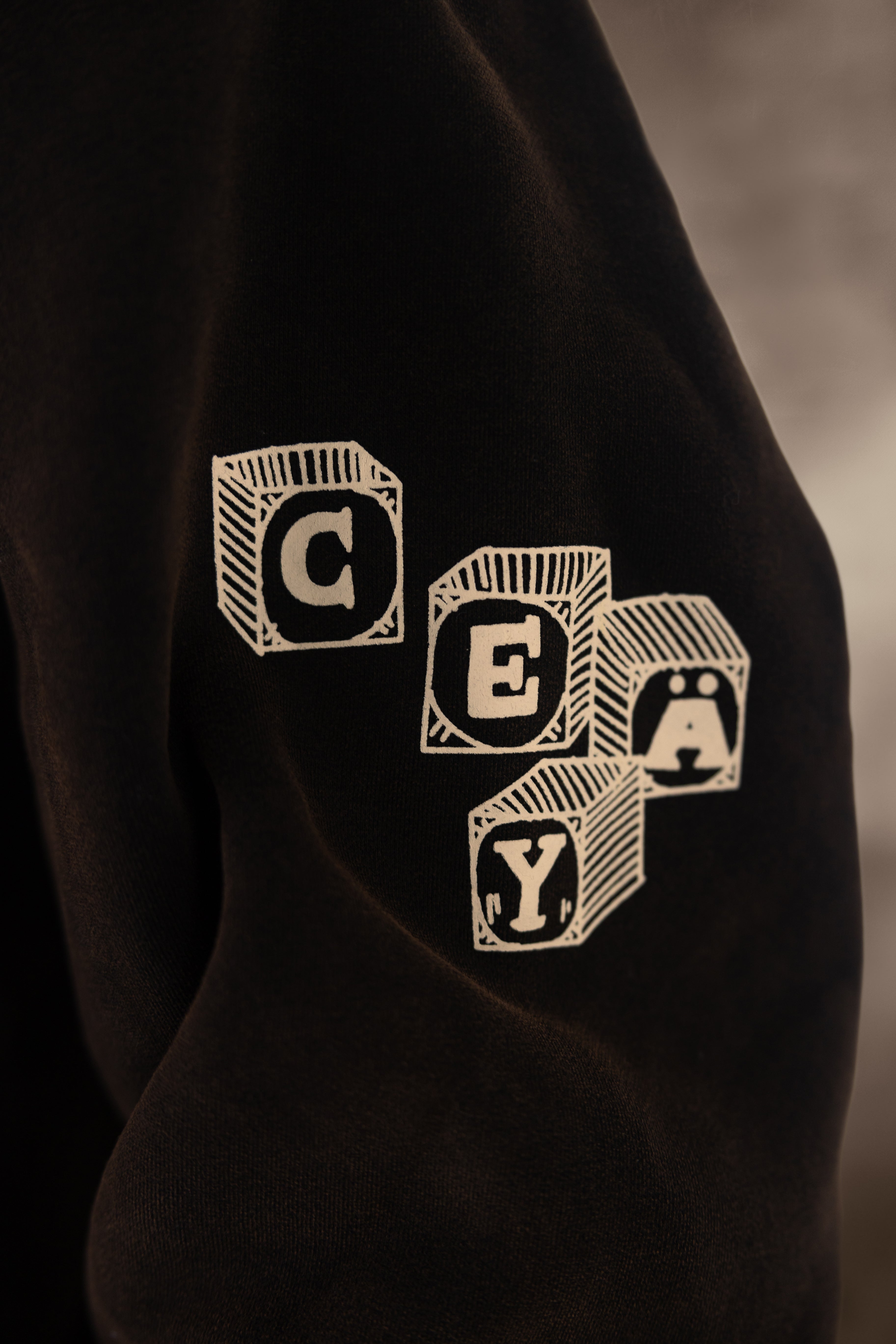 Toys Hoodie